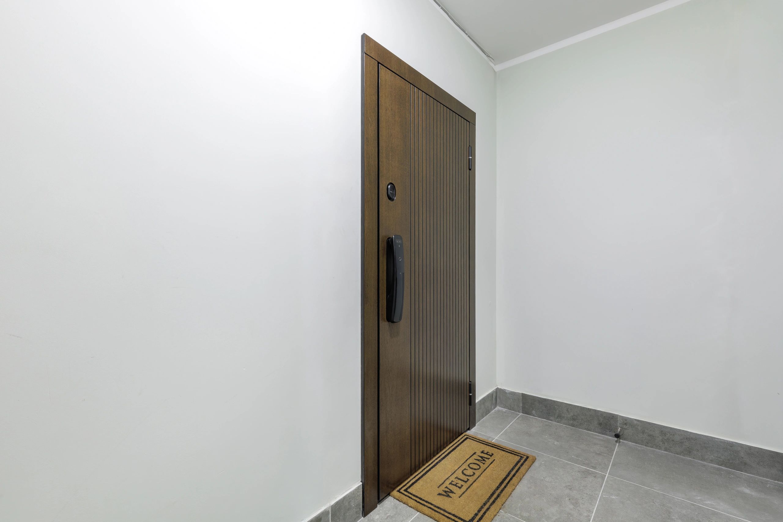 Modern apartment style entrance door